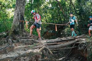 BIB: 
                            <button type="button" onclick="openModal(27746418)" class="btn btn-primary btn-sm float-right btn-popup" data-toggle="modal" data-target=".modal-high-quality">
                        <i class="fas fa-shopping-cart"></i> Add to Cart
                    </button>
                                            <button type="button" onclick="isThisMe(27746418, true)" class="btn btn-success btn-sm float-right btn-popup btn-isme hidden" data-toggle="tooltip" data-placement="bottom" title="นี่คือรูปของคุณใช่ไหม คลิกที่นี่เพื่อเอาเข้าอัลบั้ม">
                        <i class="fas fa-plus"></i> Add to album
                    </button>
                    <button type="button" onclick="isThisMe(27746418, false)" class="btn btn-warning btn-sm float-right btn-popup btn-isnotme hidden">
                        <i class="fas fa-ban"></i> Remove from album
                    </button>